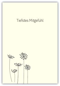 Tiefstes Mitgefühl